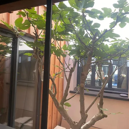 Вилла Avec Piscine Proche Golf De Biarritz Англе