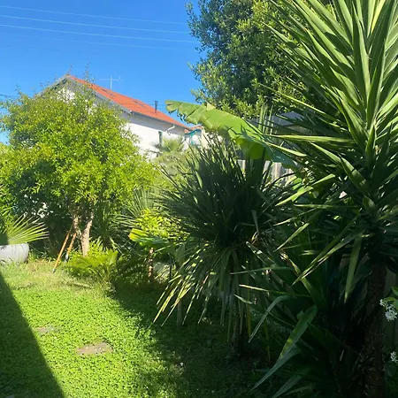 Avec Piscine Proche Golf De Biarritz * Англе